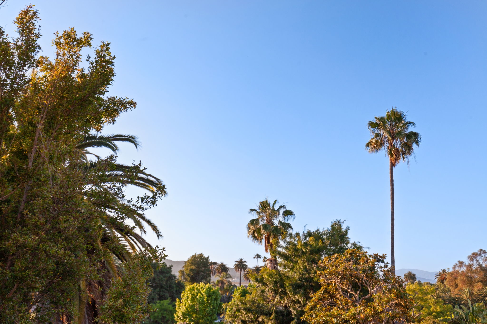 Home For Sale in Silver Lake