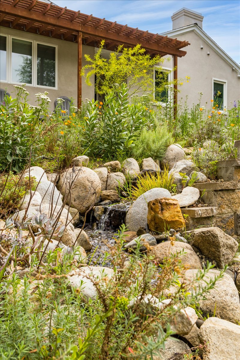 front yard