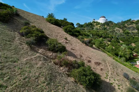 los feliz