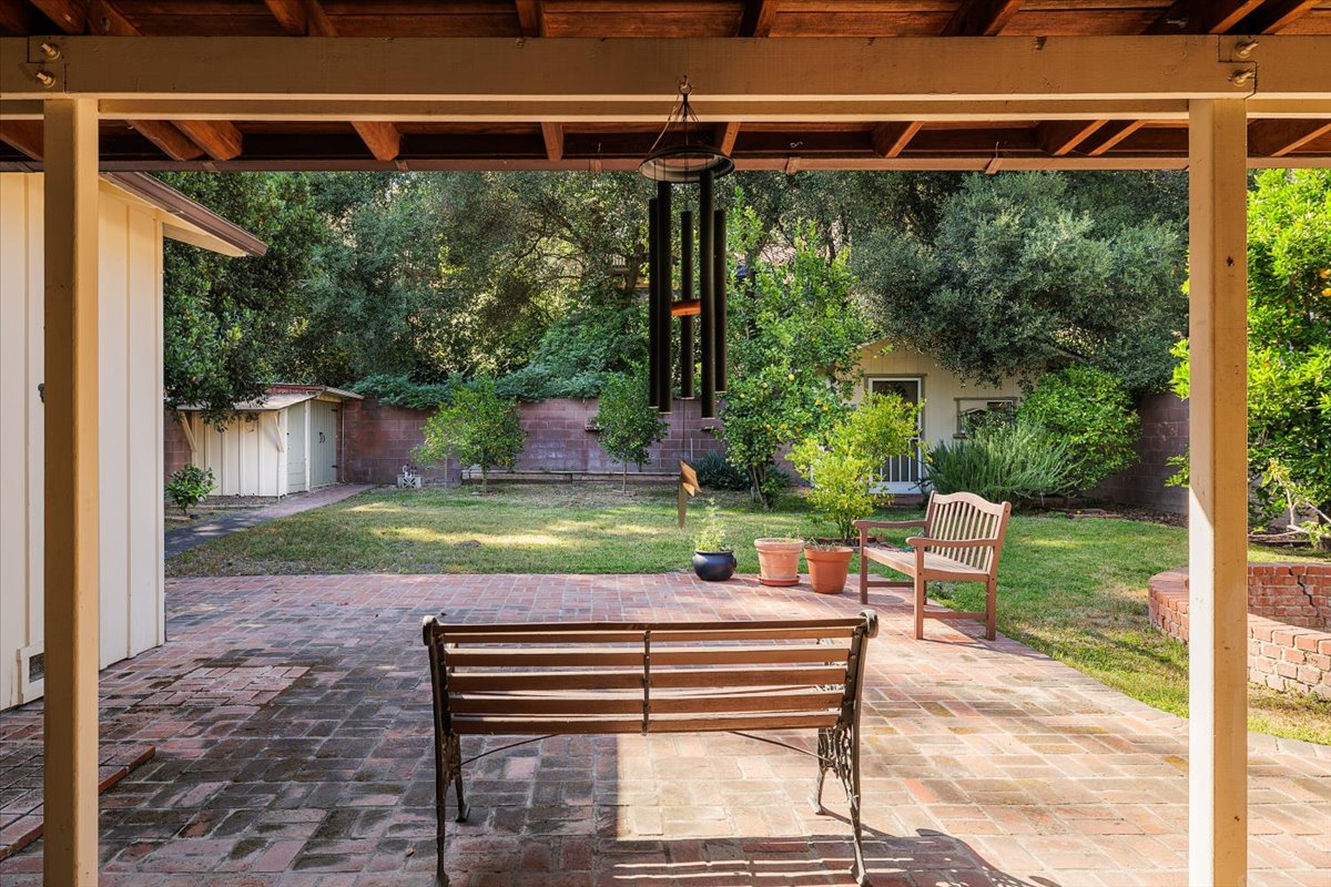 backyard