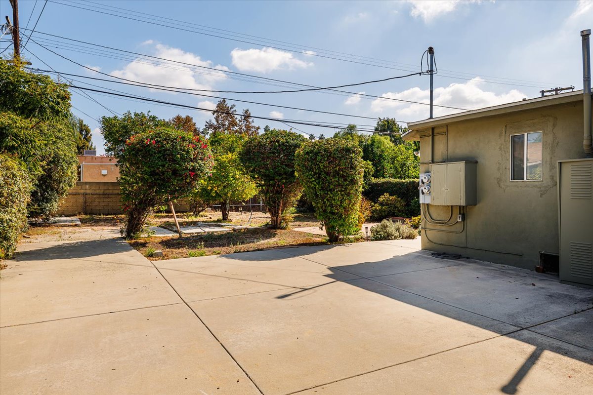 backyard