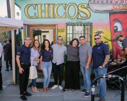 dsf