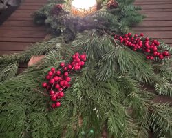 photo dec      pm